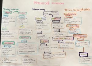 Myšlenková mapa - psychické poruchy 3.